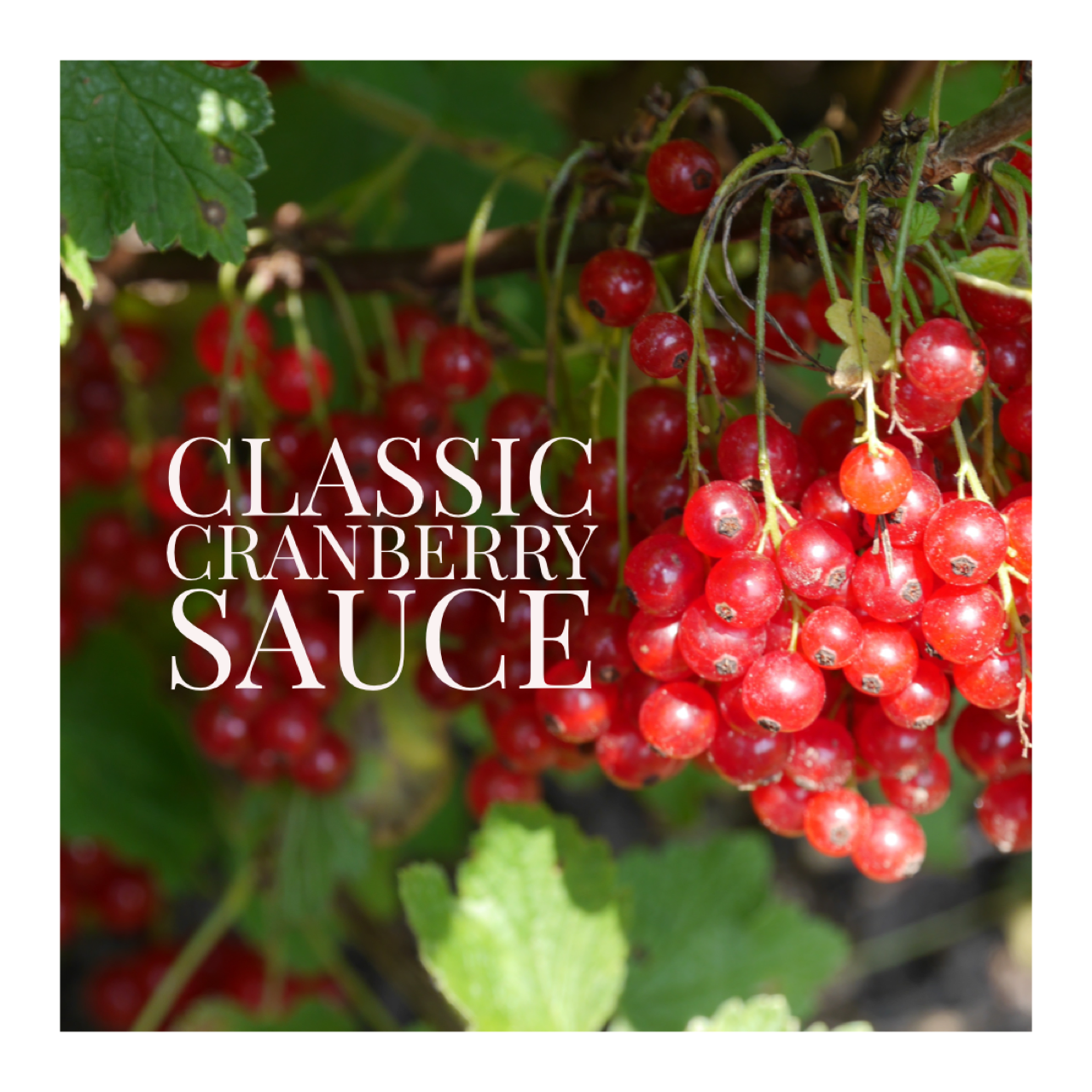 Classic Cranberry Sauce
