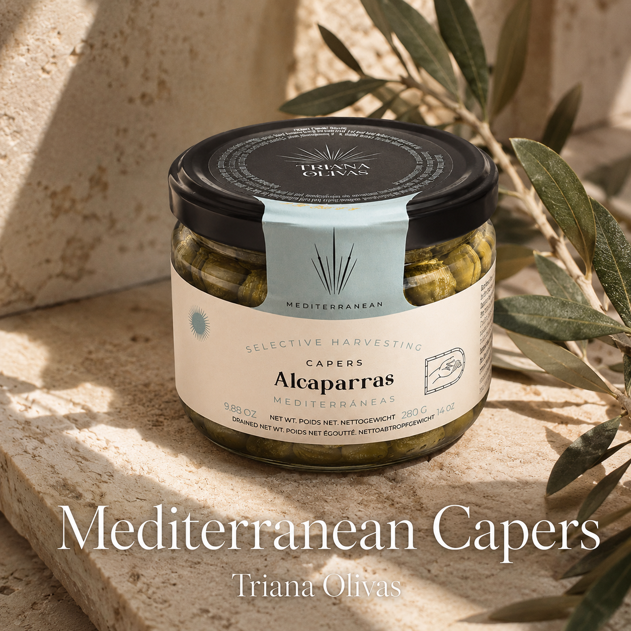 Triana Olivas Mediterranean Capers – detail view 3